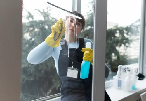 Nettoyage de vitres intérieures et extérieures à Baillestavy